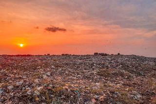 Obowiązkowa segregacja odpadów w Żarach od pierwszego września 