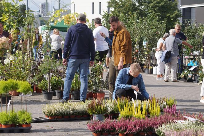 Jesienny Kiermasz Ogrodniczy 2023. Tłumy przy bydgoskim "Torbydzie" [ZDJĘCIA]