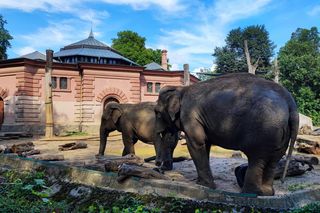 ZOO Wrocław, teren zoo i afrykarium 