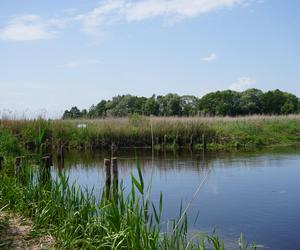 Narwiański Park Narodowy