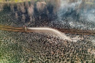 Pożar w Biebrzańskim Parku Narodowym uaktywnił oszustów. MSWiA ostrzega przed zbiórkami!