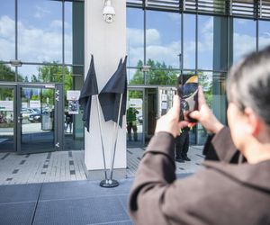 Żałoba po śmierci lekarza z Krakowa