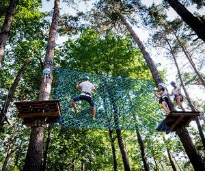 Park Dolina Wkry w Pomiechówku - spacer w koronach drzew, place zabaw, plaża