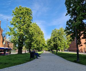 Plac Kościeleckich rozkwita na wiosnę. Bydgoszczanie chętnie wybierają go na spacer