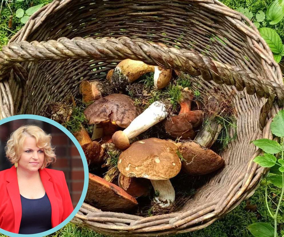 Bezwartościowe czy zdrowe? Bosacka rozprawia się z popularnym mitem o grzybach