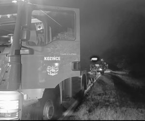 Kierowca seata nie żyje. Auto roztrzaskało się na drzewie. Tragiczny wypadek na DK 65
