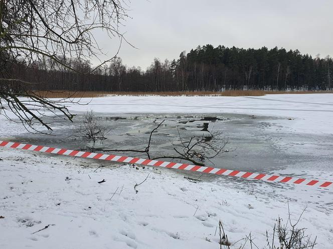 Konie tonęły w jeziorze. Z pomocą ruszyli strażacy. Nie wszystkie udało się uratować