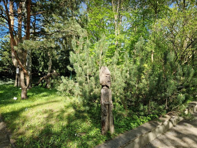 Wiosna w Ogrodzie Botanicznym UKW, czyli spacer wśród zieleni