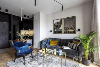 Efektowne poduszki na sofę i fotele. Zasady doboru