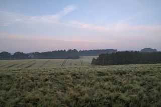 Tych miejscowości nie znajdziesz na mapie Polski. Oto wsie widma w woj. lubelskim [LISTA]