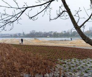 Nowa miejska plaża w Rzeszowie już powstaje. Już niedługo będzie gotowa 