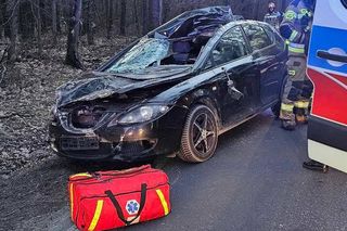 Auto zderzyło się z łosiem