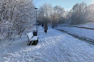 Dolina Gęśnika w Zielonej Górze w styczniu 2023 r.