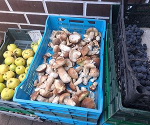 Ceny grzybów na Nowym i Starym Kleparzu w Krakowie