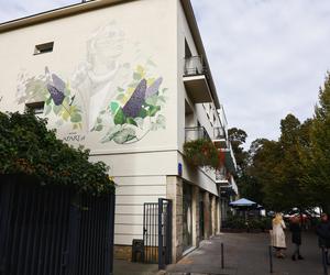 Agnieszka Osiecka mural ul. Francuska 33 w Warszawie