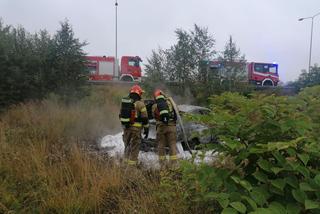 Wypadek w Łaziskach. Kierowca spłonął żywcem w BMW