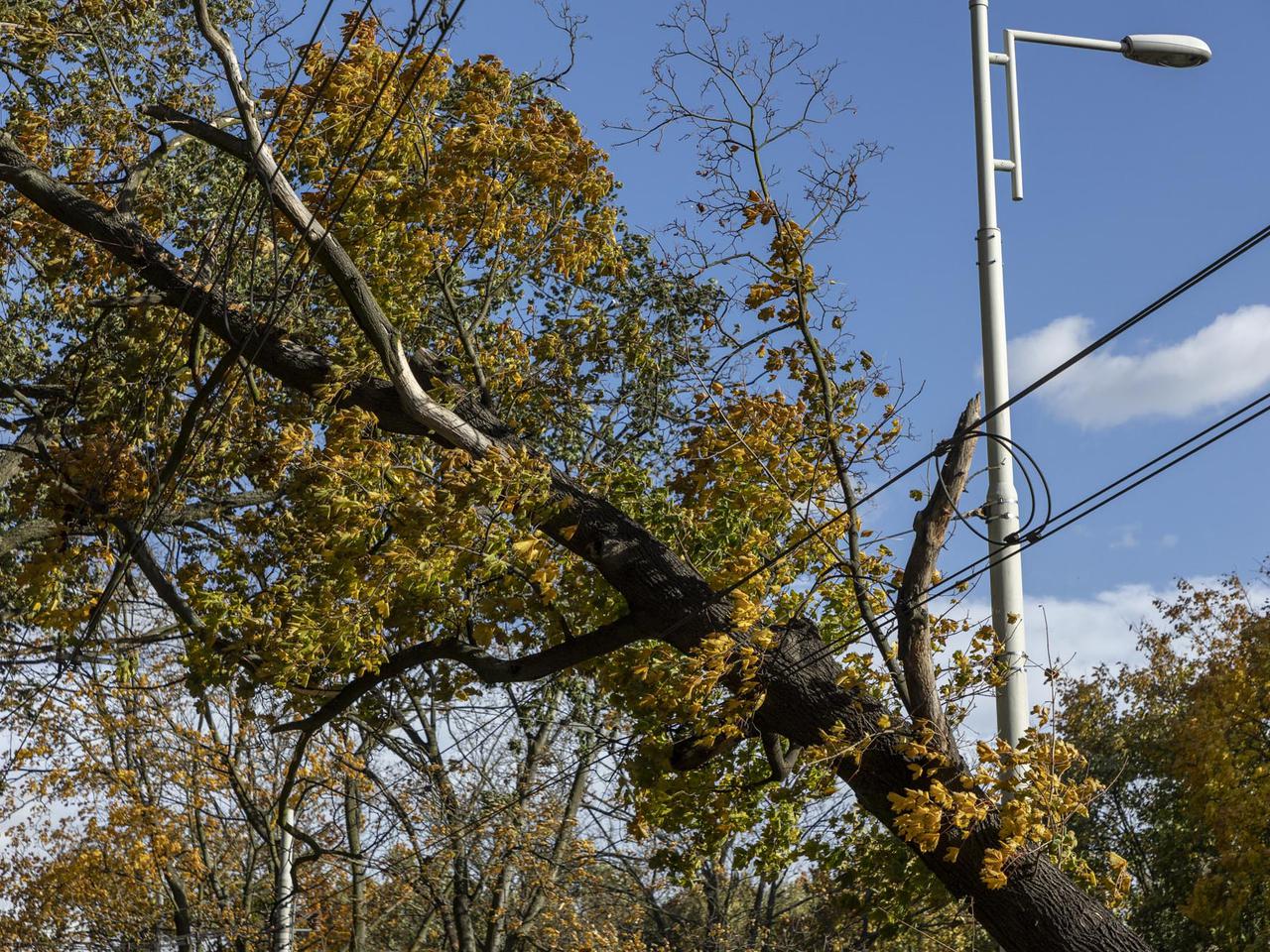 UWAGA! Wichury wracają nad woj. łódzkie! Ostrzeżenie drugiego stopnia