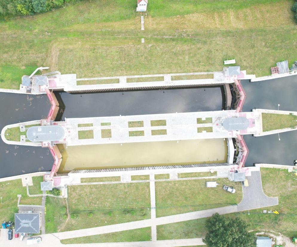 Sukces polskich naukowców – znaleźli sposób na złotą algę