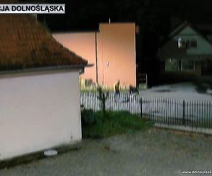 Brutalne napady w centrum Milicza. Bili i kopali swoje ofiary po głowach i całym ciele 