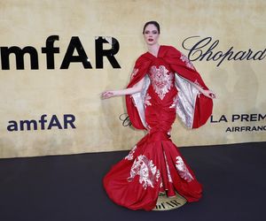  Gwiazdy  na gali amFAR w Cannes