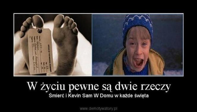 Memy bożonarodzeniowe 2025: Najlepsze świąteczne obrazki, które poprawią Ci humor!