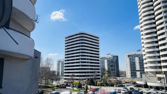 Kukurydze 2.0 na osiedlu Tysiąclecia