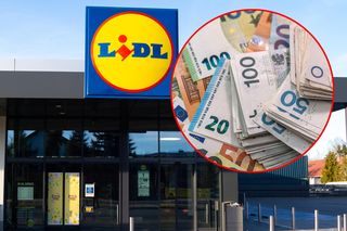 Lidl w Polsce i w Niemczech. Jakie zarobki?