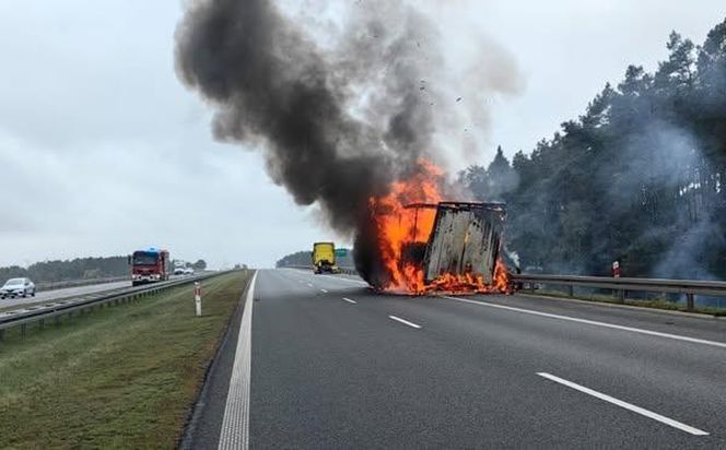 Duże straty po pożarze naczepy na S5 koło Leszna i długi paraliż drogi