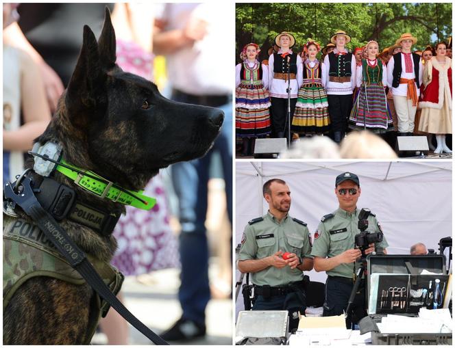 Piknik patriotyczny i koncert „Polskie Tańce Narodowe i Regionalne” na pl. Litewskim w Lublinie