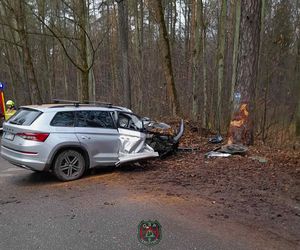 Skoda z dwiema osobami w środku uderzyła w drzewo. 4-letnie dziecko trafiło do szpitala