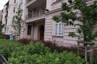 Przedogródki