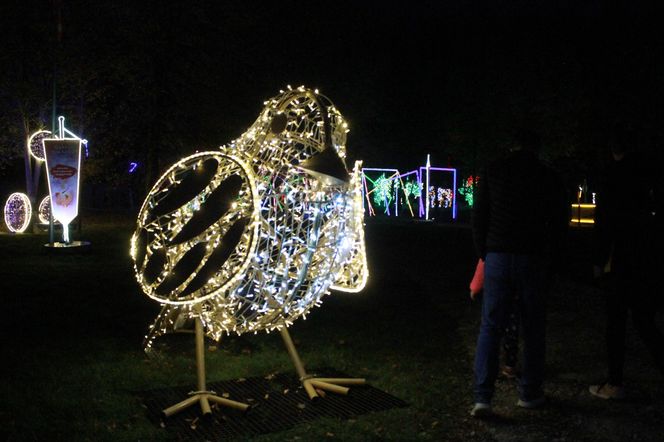 Byliśmy na otwarciu Lumina Park 2024 w Zamku Topacz