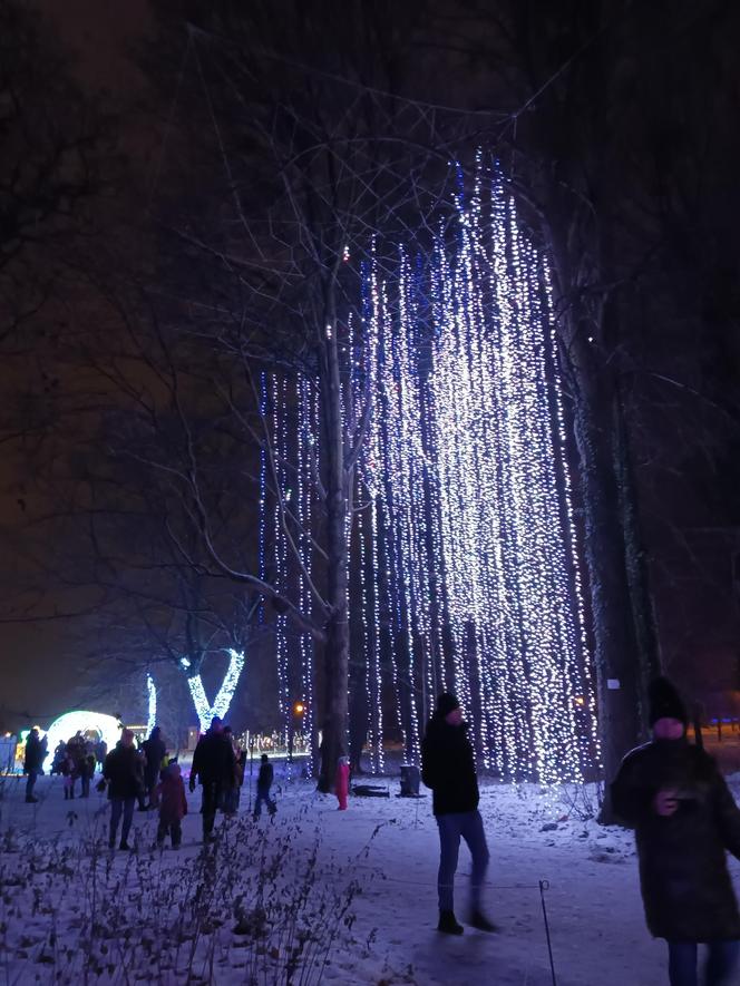 Odwiedziłam Ogród Świateł w Gdyni. Poczuj ze mną magiczny klima