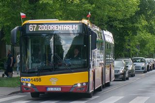 Najbardziej rozrywkowa linia autobusowa w Łodzi. Sprawdź, dokąd zabierze Cię 67!