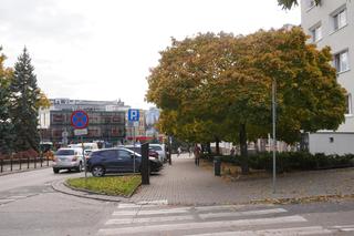 Kolorowe drzewa i klimatyczne kamienice. Ta ulica w Olsztynie zachwyca jesienią [ZDJĘCIA]