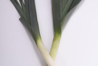 Chłoszczę piersi porami