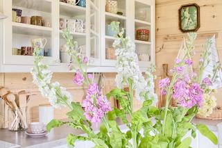 Kuchnia klasyczna czy nowoczesna? 