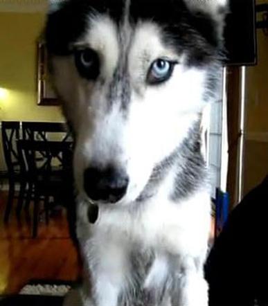 Mishka 3