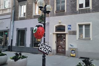 Rusza „Chwacko!”, czyli letni program MOK-u. Na starówce pojawiły się ogromne truskawki [ZDJĘCIA]