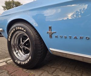 Klasyczna motoryzacja znów zachwyciła Bydgoszcz. „Bydgoskie Klasyki Nocą” przy Torbydzie