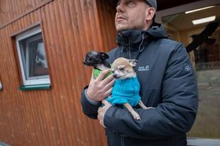 Zwierzęta przywdziały ciepłe swetry na jesień