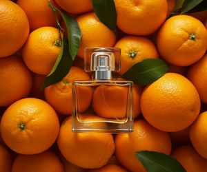 W poniedziałek się zacznie! Polki pobiegną na promocję do Lidla! Perfumy inspirowane zapachem Dolce & Gabbana za 1 zł! Klimat włoskich wakacji przełamany orzeźwiającą nutą! Promocje w Lidlu