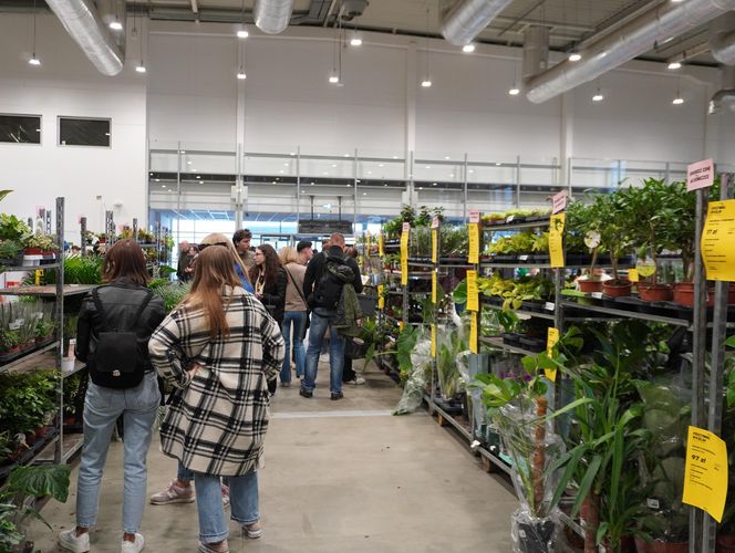 Największy targ roślin doniczkowych ponownie w Lublinie