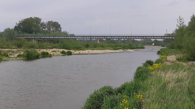 Most w Ostrowie - sierpień