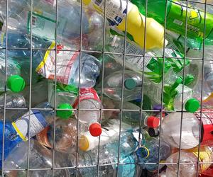 Pieniądze za zwrot butelek. Wraca system kaucyjny. Kiedy wejdzie w życie? 