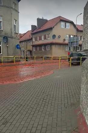 Krwawy Czaplinek