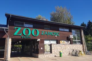 Zoo to jedna z najbardziej lubianych atrakcji Zamościa. Zobacz zdjęcia ze spaceru!