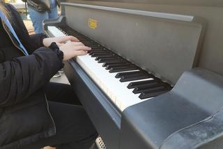 Fortepian dla Rzeszowa