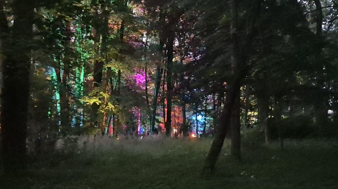 Olsztyn zamienił się w magiczną krainę. Park Świateł przyciągnął tłumy!