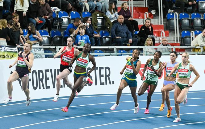 Jubileuszowy Orlen Copernicus Cup w Toruniu. Zdjęcia kibiców i sportowców